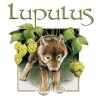 Lupulus - les 3 fourquets